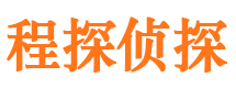 田东市调查公司